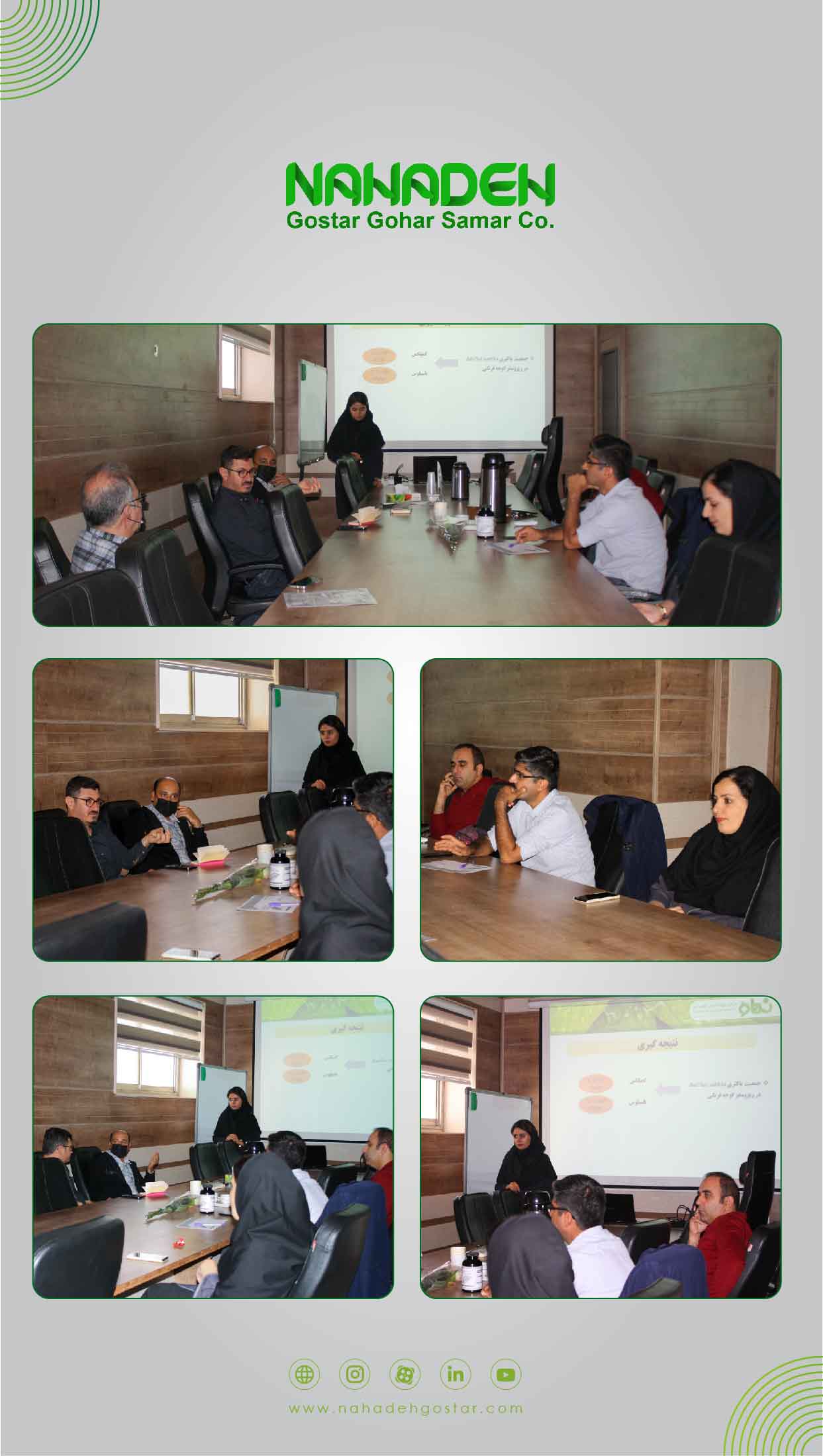 Presentation on the effect of the composition of Ironica Complex on the growth rate of tomatoes